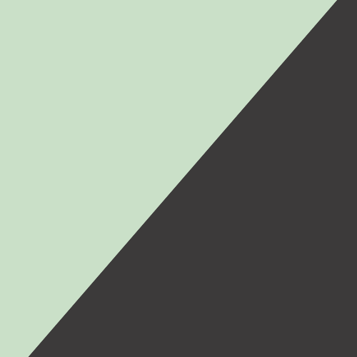 GLOSSY OLIVE GREEN/BLACK